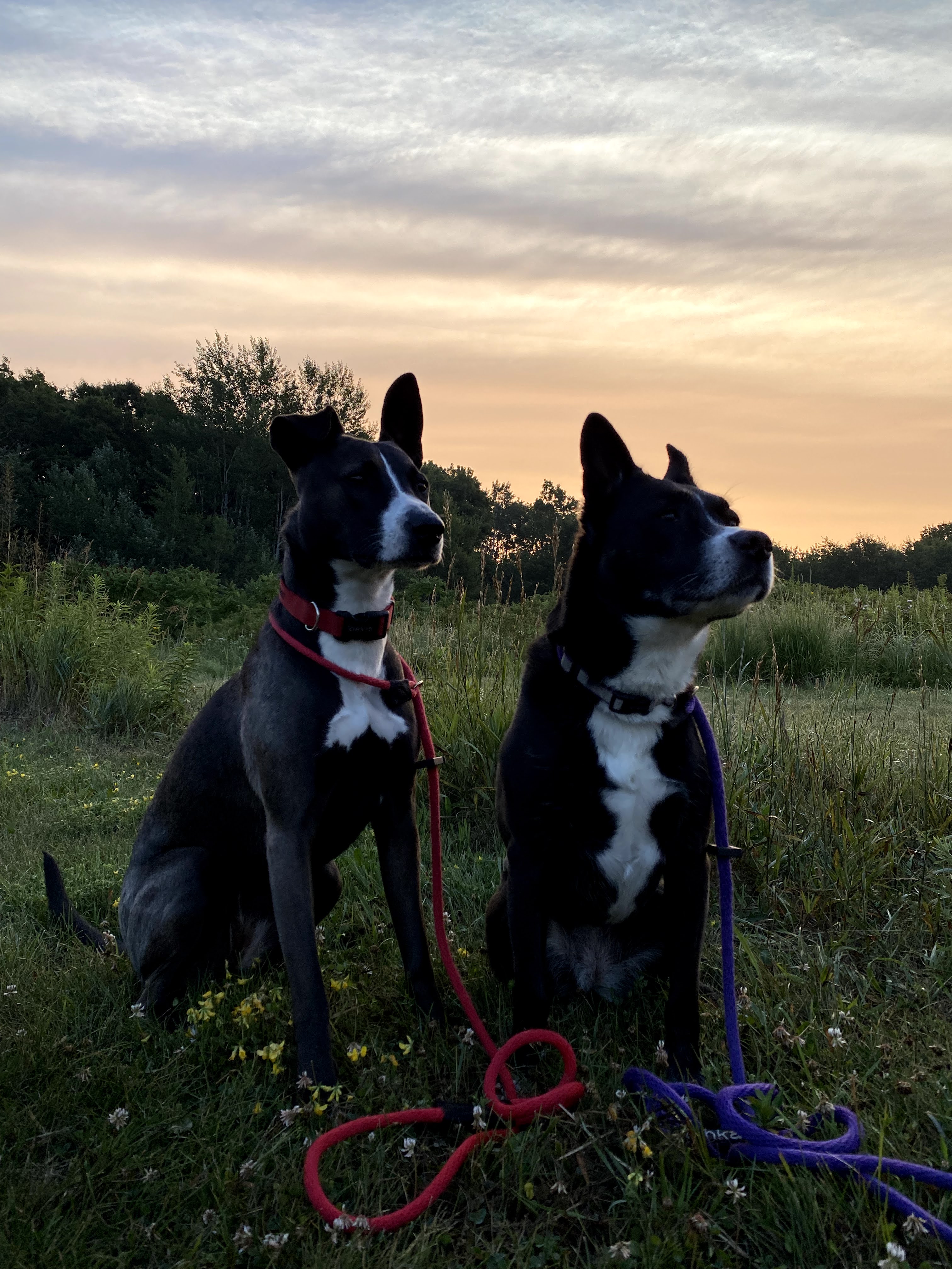 Ishka and Migizi Aug2021